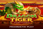 Dragon Tiger Fortunes