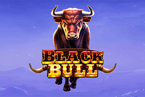 Black Bull